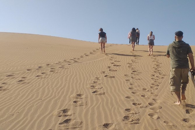 Desert and Wild Beach Day Trip with Meal - Key highlights you can feel right away