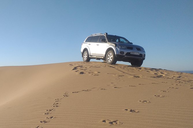 Desert and Wild Beach Day Trip with Meal - Small desert time: sand without losing the whole day to logistics