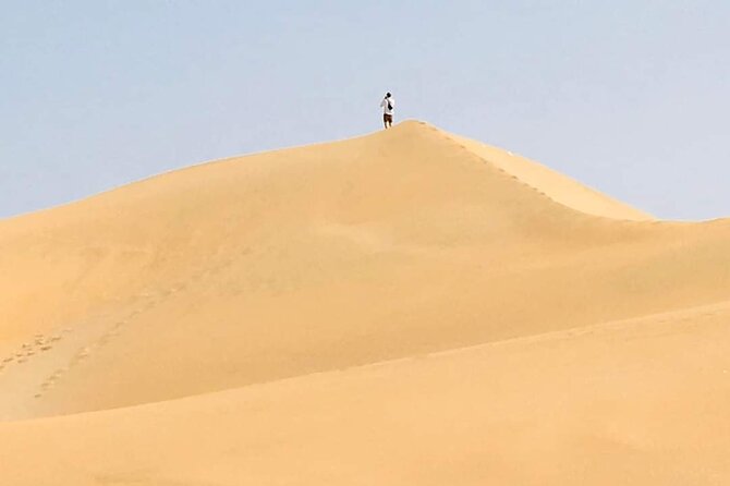 Desert and Wild Beach Day Trip with Meal - Lunch and what is included, what is not