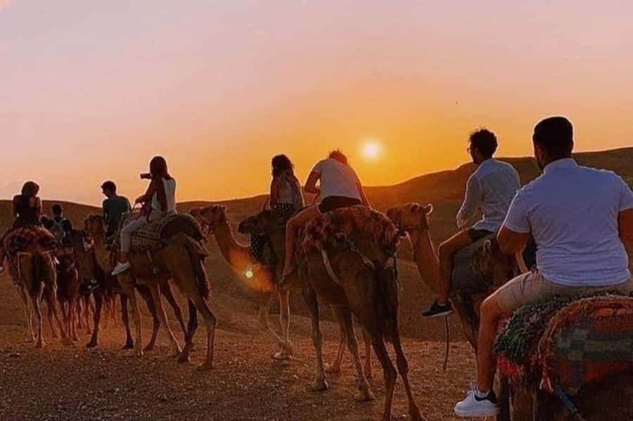 Desert & Beach Quad Adventure With Camel Ride - Pickup, Van Ride, and the Driving Test You Should Expect