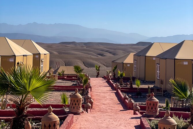 Desert Full Day: Quad, Camel, Dinner & Show or Pool Day and Lunch - Your three options: what you get and when you’ll be back