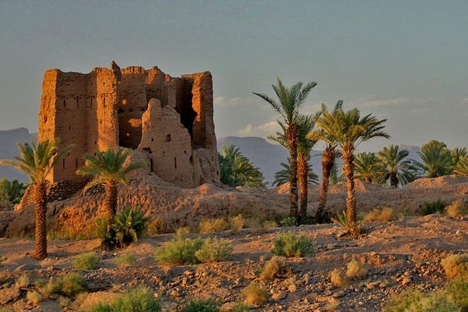 Desert Odyssey: A 2-Day Journey from Marrakech to Zagora - Quick hits before you go