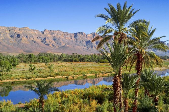Desert Odyssey: A 2-Day Journey from Marrakech to Zagora - Camel Ride Value and How the Day-By-Day Feels