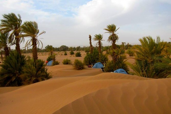 Desert Odyssey: A 2-Day Journey from Marrakech to Zagora - Price and Logistics: Why It’s Cheap, and When That Matters