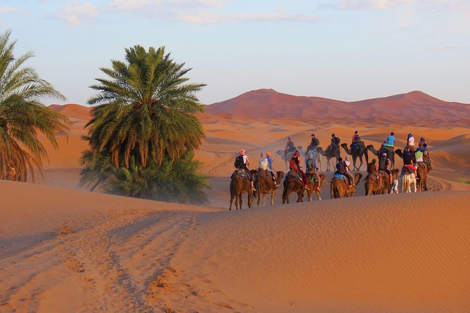 Desert Odyssey: A 2-Day Journey from Marrakech to Zagora - Guides, Camel Handlers, and Tip Money That Helps