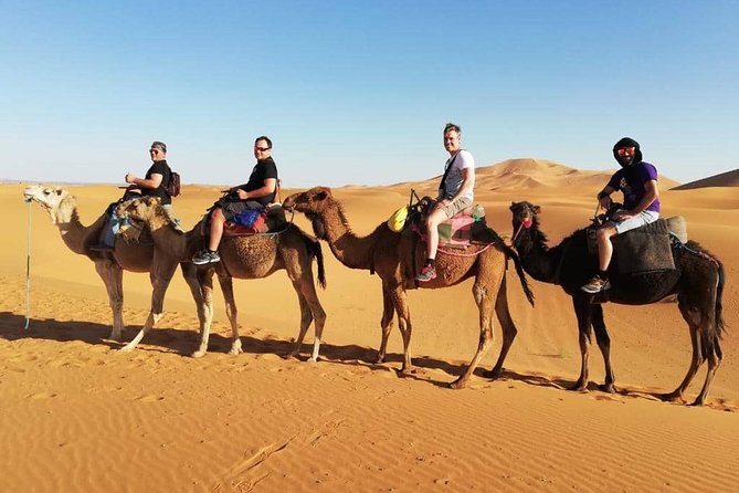Desert tour 3 days from Fes to Marrakech - The 8:00 am start in Fes El Bali, and why it matters