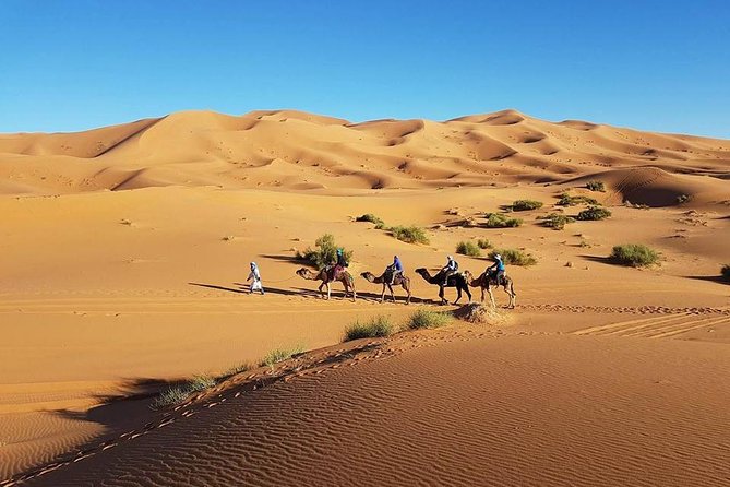 Desert tour 3 days from Fes to Marrakech - Day 2: Todra Gorges, Tinghir river road, and huge canyon walls