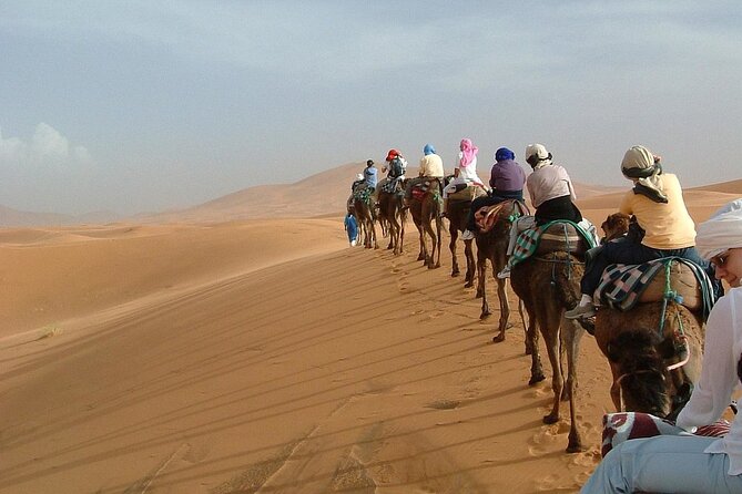 Desert Trip:Fès-Merzouga(1 Night)-Ouarzazat(1 Night)-Marrakech - From Fez to Merzouga, Quick Stops That Keep the Day Moving