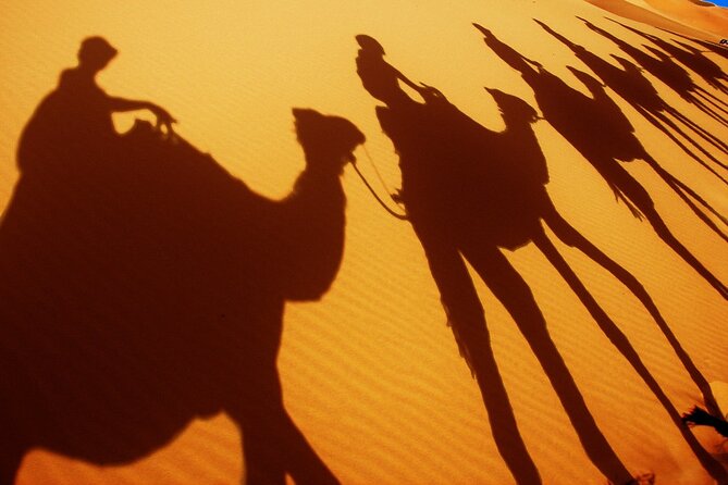 Desert Trip:Fès-Merzouga(1 Night)-Ouarzazat(1 Night)-Marrakech - Meals, Drinks, and the Budget Reality of Lunch Stops