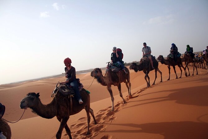 Desert Trip:Fès-Merzouga(1 Night)-Ouarzazat(1 Night)-Marrakech - Small-Group Attention and the Guide Support That Makes It Feel Easier