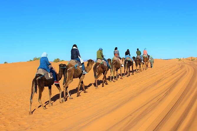 Desert Trip:Fès-Merzouga(1 Night)-Ouarzazat(1 Night)-Marrakech - Who Should Book This Fes to Marrakech Desert Route