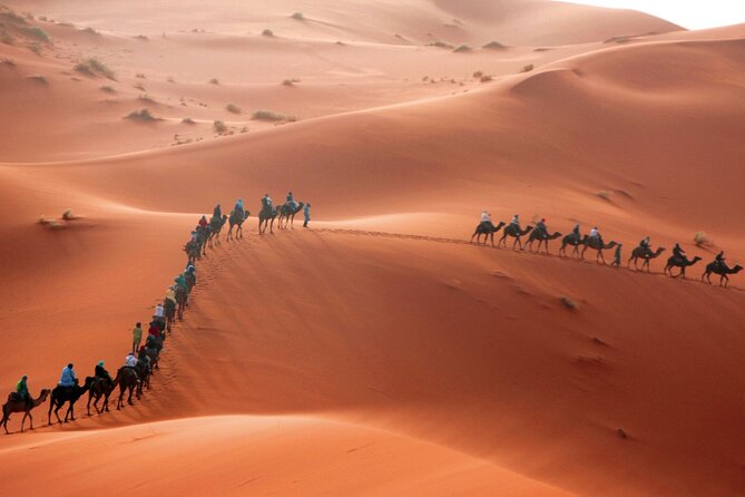 Desert Trip:Fès-Merzouga(1 Night)-Ouarzazat(1 Night)-Marrakech - Camel Ride at Sunset in Merzouga, Plus a Desert Camp With Real Comfort