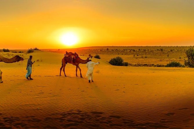 Dinner at Sunset & Camel ride in Marrakech desert Agafa - Learning in a Local Berber Home, Not a Scripted Stop