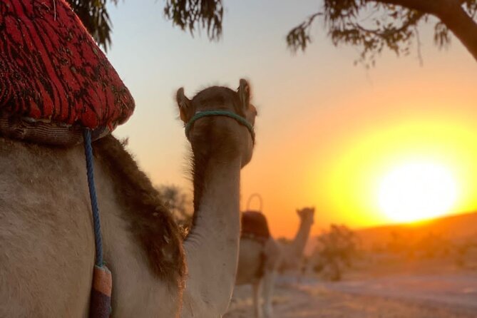 Dinner in Agafay Desert ,Sunset Camel Ride, Fire Show - The Traditional Camp Dinner and Mint Tea