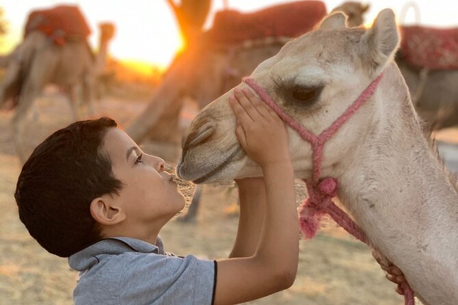 Dinner in Agafay Desert ,Sunset Camel Ride, Fire Show - Who this tour suits best