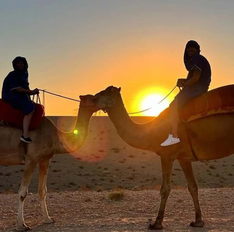 DINNER IN AGAFAY DESERT UNDER THE STARS WITH SHOW AND CAMELS - Marrakesh to Agafay: a desert night close to the city