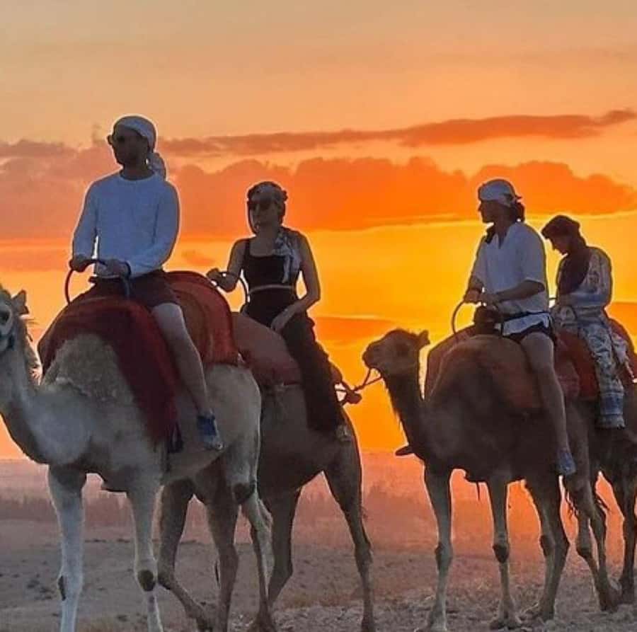 DINNER IN AGAFAY DESERT UNDER THE STARS WITH SHOW AND CAMELS - Is $17 good value for Agafay dinner and show?