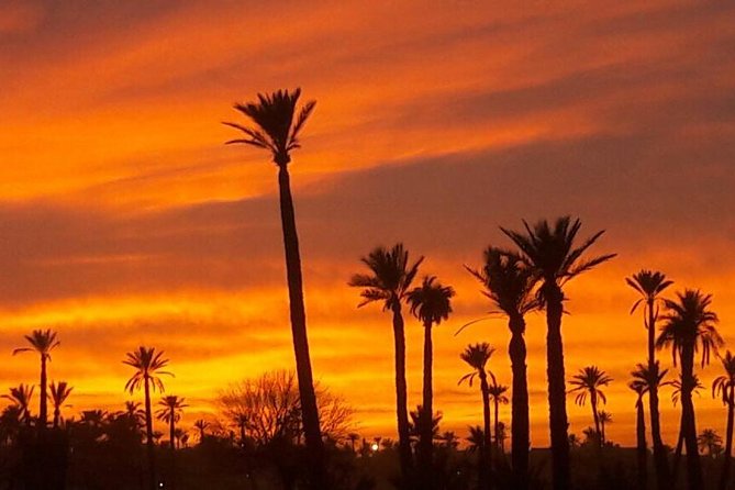 Dinner show and Sunset Camel riding Agafay desert - Who should book this Agafay sunset camel and dinner show