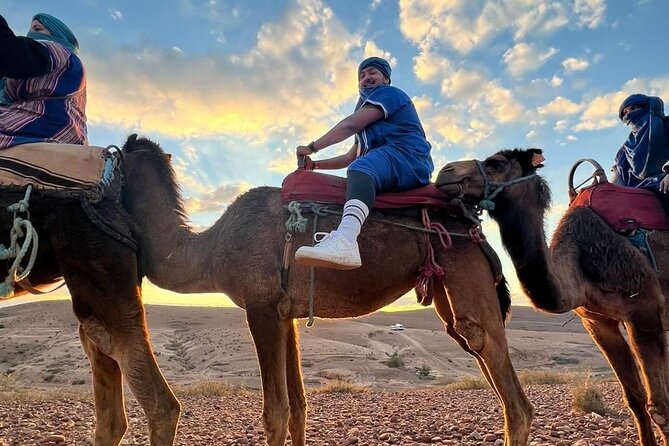 Dinner Show & camel ride with sunset views - Small group and guide quality: where the value shows