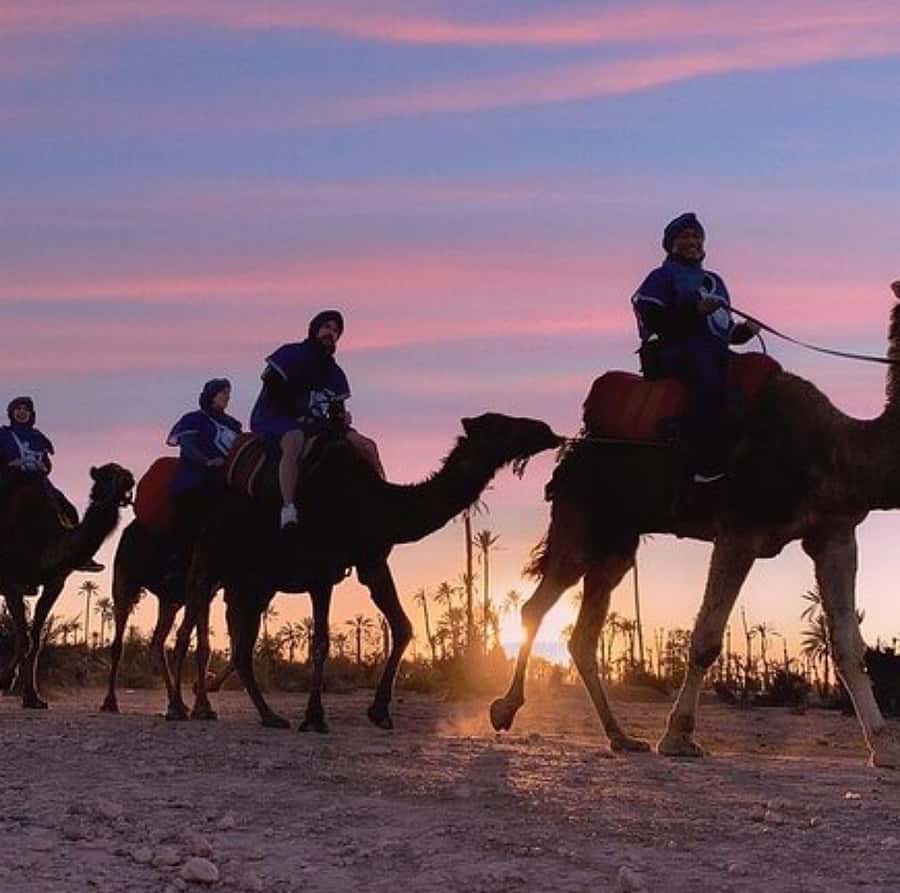 Dinner show in agafay Desert 1h quad bike & 20 min camels - Why Agafay Desert Works So Well for a 6-Hour Day