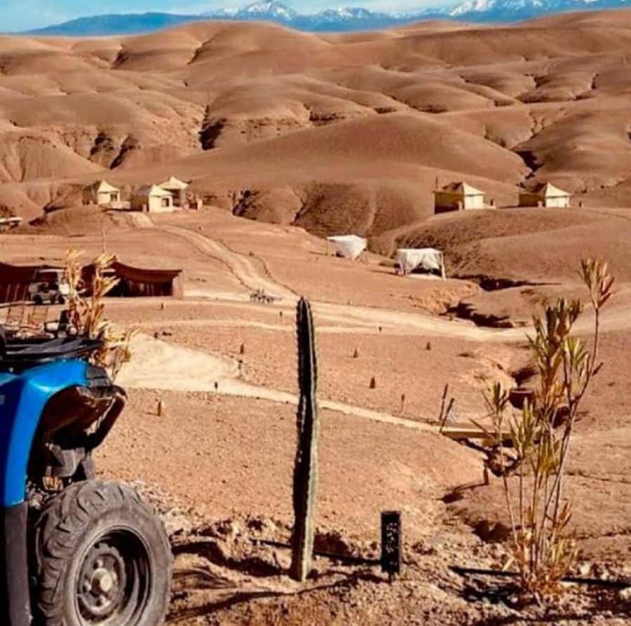 Dinner show in agafay Desert 1h quad bike & 20 min camels - Camel Ride and Tea Time: The Calm Counterbalance