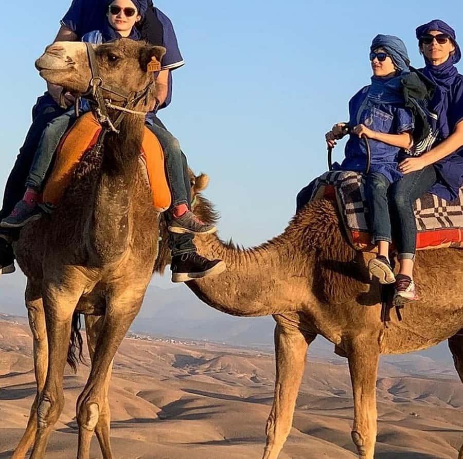 Dinner show in agafay Desert 1h quad bike & 20 min camels - The Desert Pool Pause Before Dinner