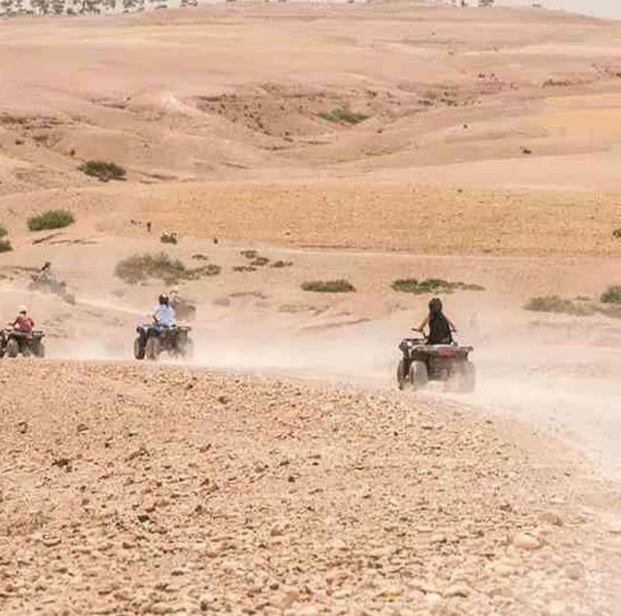 Dinner show in agafay Desert 1h quad bike & 20 min camels - Price and Value: Is It Worth $21 Per Person?
