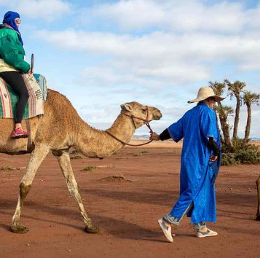 Dinner show in agafay Desert 1h quad bike & 20 min camels - Who This Tour Suits Best (And Who Might Prefer Something Else)