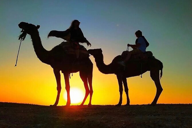 Dinner Under the Stars Desert Agafay & Sunset Camel Ride - Breakfast at a women’s coop: argan oil that tastes real