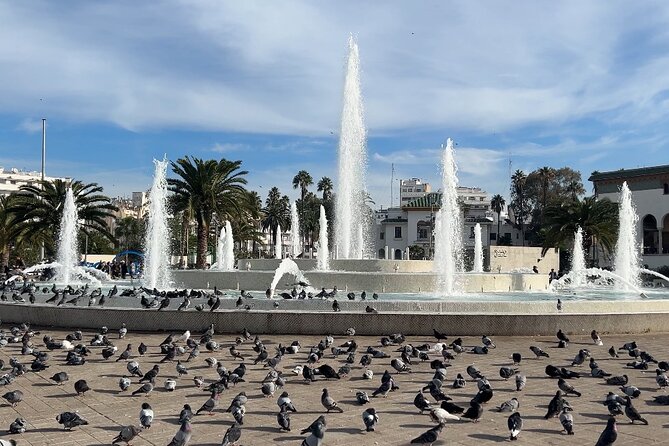 Discover Casablanca: Mosque & City Tour - Should you book Discover Casablanca: Mosque & City Tour?