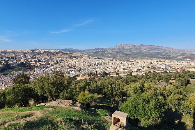 Discover Fez with a local - Wood Market and Wood Museum: Budget Time for Extra Entries