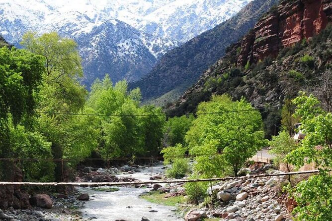 Discovering Ourika Valley and Atlas Mountains with a Local Guide - Atlas Mountain road trip moments you should not rush