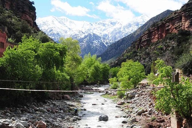 Discovering Ourika Valley and Atlas Mountains with a Local Guide - Lunch by the river: what to budget and how to choose