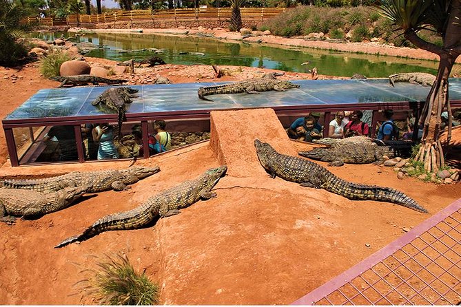Effortless Agadir Crocoparc Ticket and Transfer Service - The Botanical Side: 3,000 Plants and Why It Matters