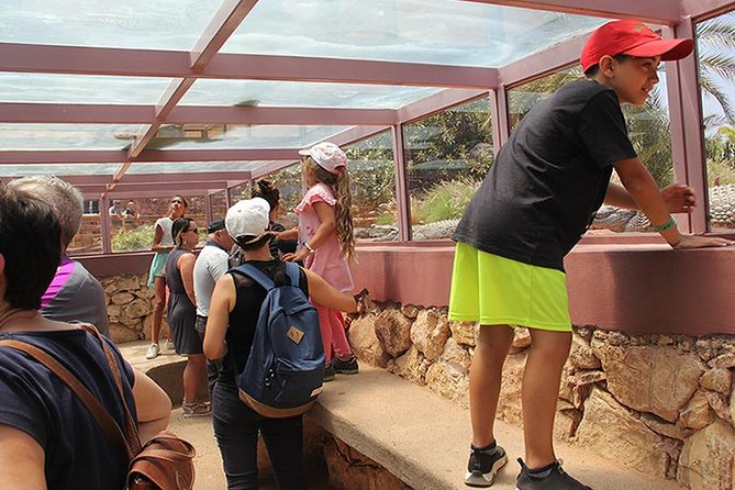 Effortless Agadir Crocoparc Ticket and Transfer Service - Capturing the Adventure: Souvenir Photos and Videos