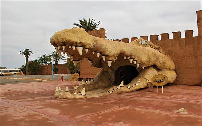 Effortless Agadir Crocoparc Ticket and Transfer Service - The Hotel Pickup and the 3-Hour Structure (How Your Day Actually Works)