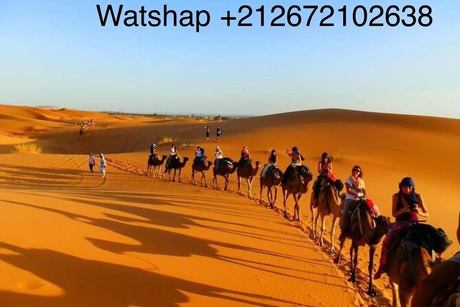 Enjoy camp 1 night .Camel.sunset sunrise drums Quad Sunboard - Sunrise Over the Dunes: The Short Morning That Feels Like a Reward
