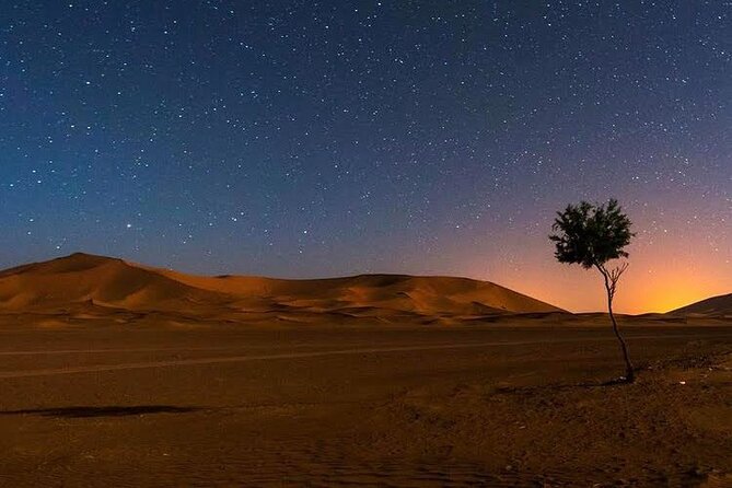Enjoy Luxury camp 1 nights .camel Drums sandboarding.QUADS - Price and value: what $205.75 buys you in real terms