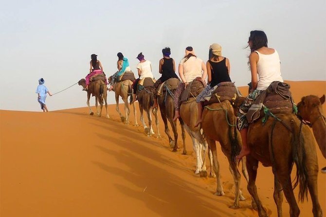 Enjoy Luxury camp 1 nights .camel Drums sandboarding.QUADS - Who this Merzouga luxury camp trip suits best