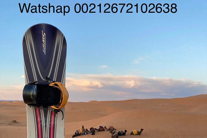 Enjoy Luxury camp 1 nights .camel Drums sandboarding.QUADS - The camel ride: why the first dune stretch sets the tone