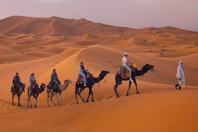 Erg Chebbi Desert Overnight in Tent with Camel Ride & Sandboard - Shooting Stars Camp tents: what your private room includes, and why it matters