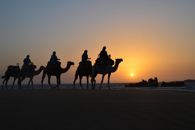 Essaouira: 1/2 Day Camel ride with meal. - Getting There From Parking Bab Marrakech, Then Back Again
