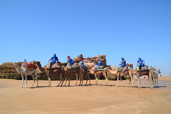 Essaouira: 1/2 Day Camel ride with meal. - The First Stretch: Equipment, Guide, and the Pace You Feel
