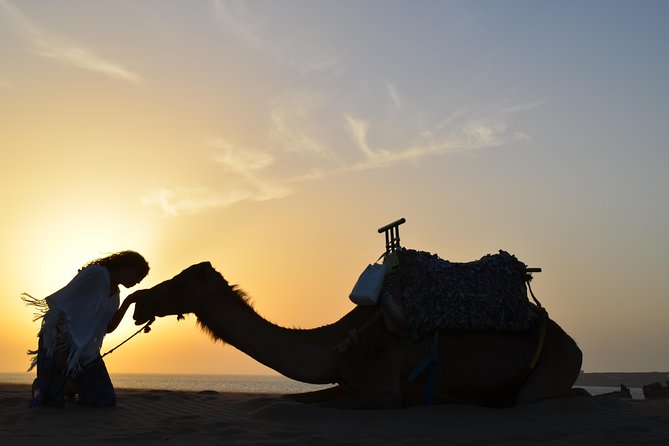 Essaouira: 1/2 Day Camel ride with meal. - Price and Value: How $69.69 Fits a Half-Day With Meal