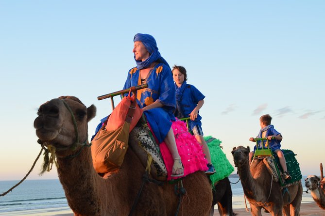Essaouira: 1/2 Day Camel ride with meal. - Who This Tour Suits Best, and Who Might Reconsider