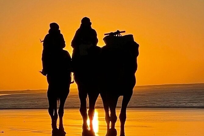 Essaouira 1 hour discovery ride on the back of a camel - Portuguese Borj, Seeing a View Point Without Turning This Into a Hike