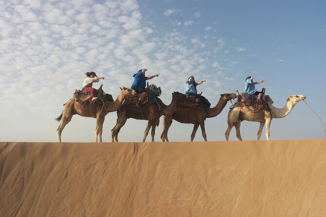 Essaouira 1 hour discovery ride on the back of a camel - Price and Timing, Is $23.23 Worth It?