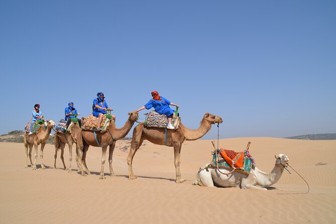 Essaouira 1 hour discovery ride on the back of a camel - Diabat Village and Dar Sultan Ruins, Context Without Overload