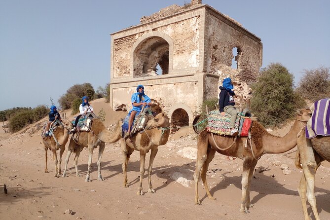 Essaouira: 1 Hour Dromedary + 2 Hours Quad - Camelback hour and sunset: the slower side of Essaouira