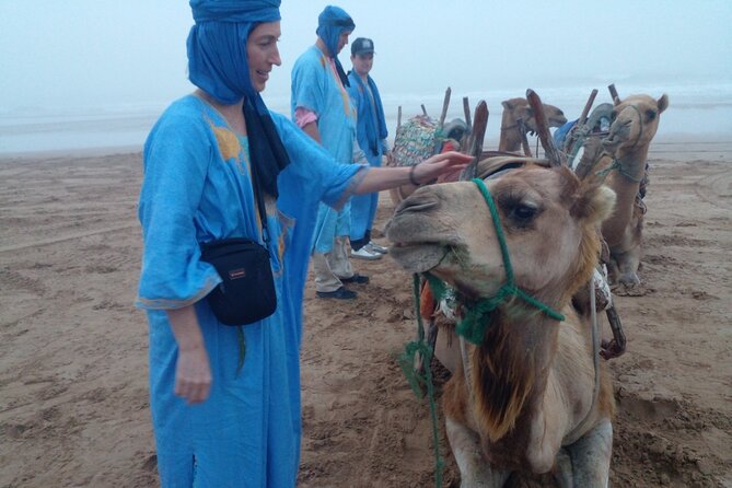 Essaouira: 1 Hour Dromedary + 2 Hours Quad - Meeting local people and animals, with a little luck